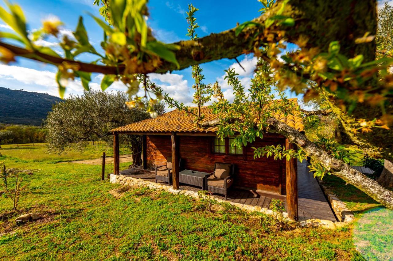 Quinta Do Quinto Pensión Porto da Carne