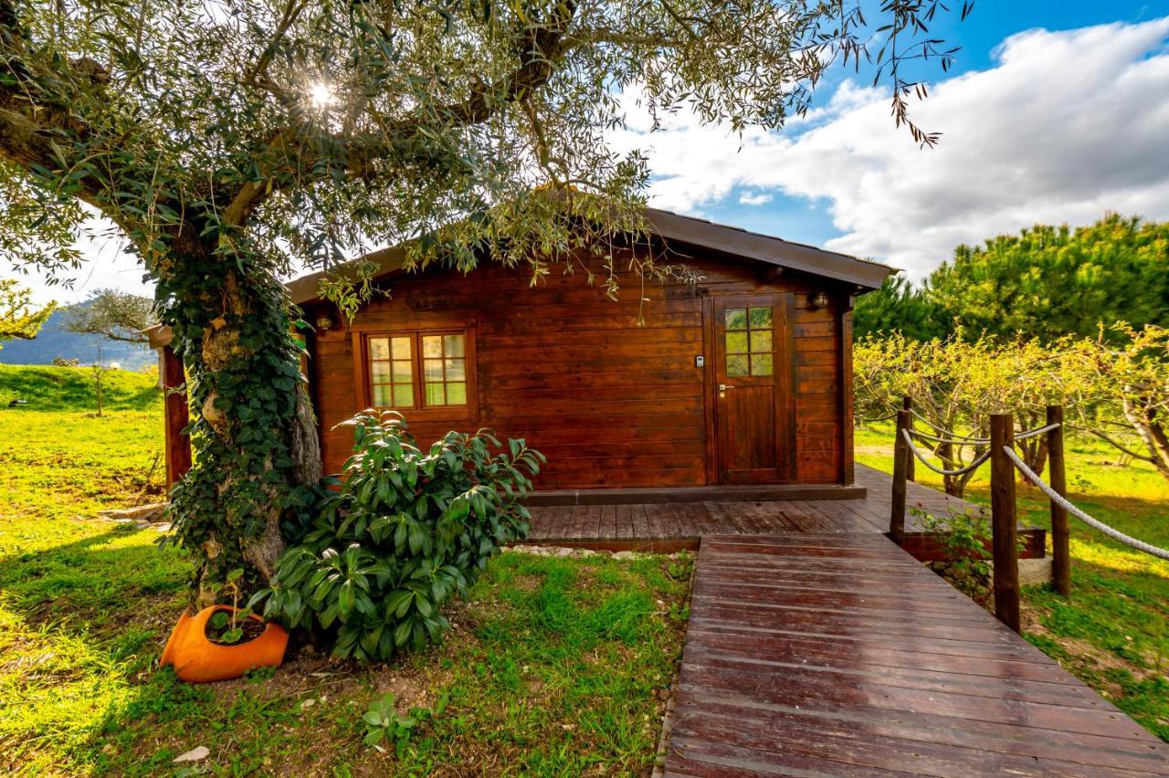 Quinta Do Quinto 4* Porto da Carne
